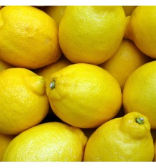 limonero enano