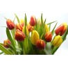 floristería