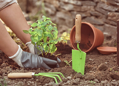  Complementos de jardinería 